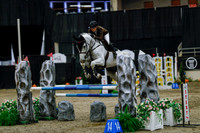 2025 - Haylee - Royal West - Saturday October 25th - 04388_1