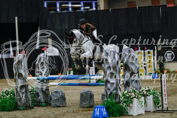 2025 - Haylee - Royal West - Saturday October 25th - 04388_1