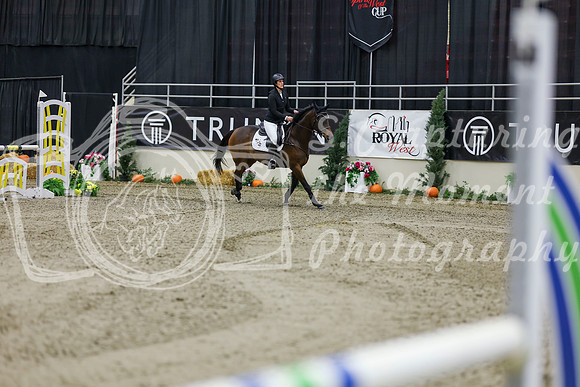 2025 - Shea - Royal West - Saturday October 25th - 01413