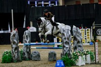 2025 - Haylee - Royal West - Saturday October 25th - 04391_1