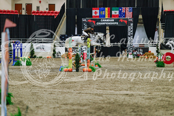 2025 - Haylee - Royal West - Saturday October 25th - 04402_1