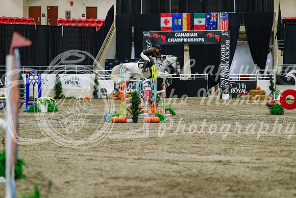 2025 - Haylee - Royal West - Saturday October 25th - 04401_1