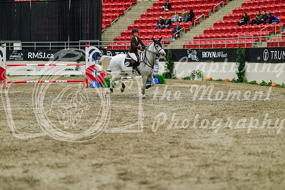 2025 - Haylee - Royal West - Saturday October 25th - 04403_1