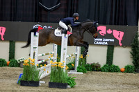 2025 - Shea - Royal West - Saturday October 25th - 01533