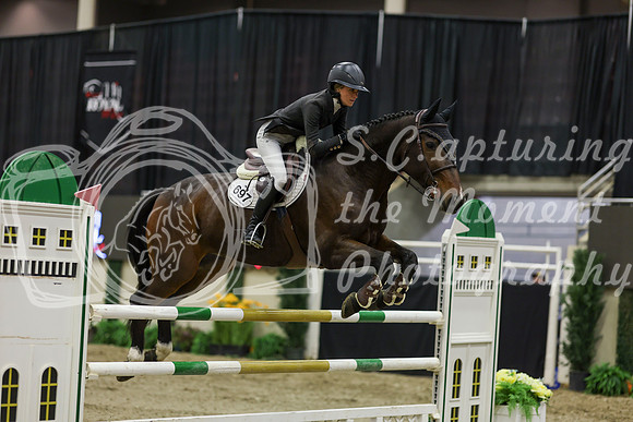 2025 - Shea - Royal West - Saturday October 25th - 06865