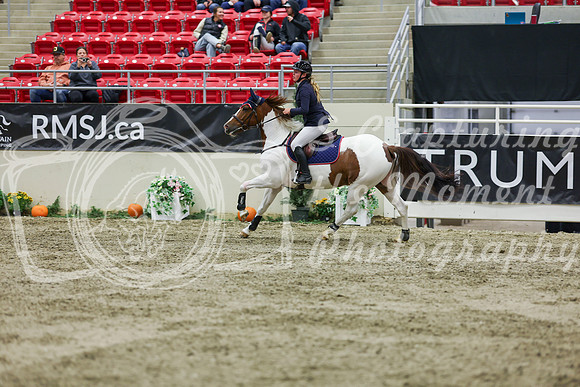 2025 - Shea - Royal West - Saturday October 25th - 02360