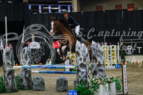 2025 - Haylee - Royal West - Saturday October 25th - 04031_1