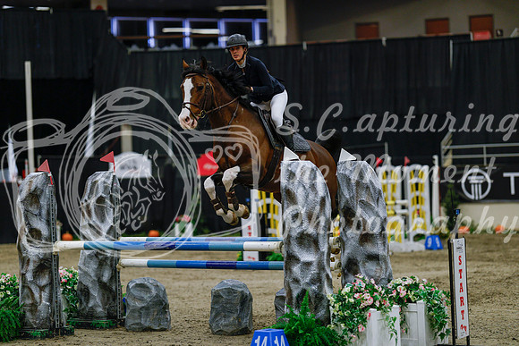 2025 - Haylee - Royal West - Saturday October 25th - 04032_1