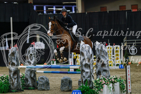 2025 - Haylee - Royal West - Saturday October 25th - 04034_1