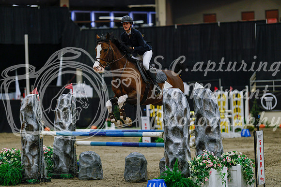 2025 - Haylee - Royal West - Saturday October 25th - 04035_1