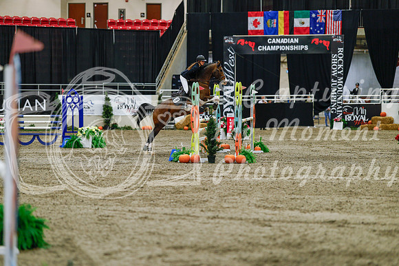 2025 - Haylee - Royal West - Saturday October 25th - 04038_1