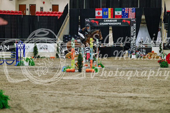 2025 - Haylee - Royal West - Saturday October 25th - 04044_1