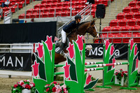 2025 - Haylee - Royal West - Saturday October 25th - 04047_1