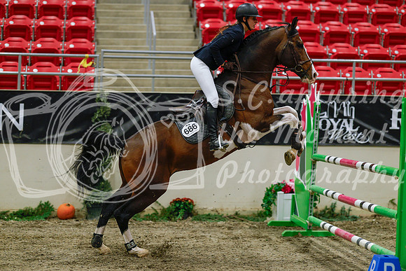 2025 - Haylee - Royal West - Saturday October 25th - 04055_1