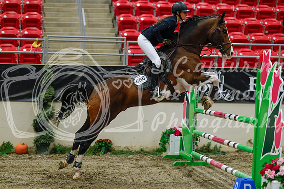 2025 - Haylee - Royal West - Saturday October 25th - 04058_1
