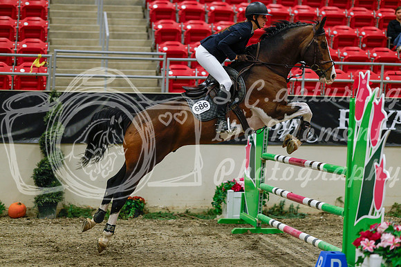2025 - Haylee - Royal West - Saturday October 25th - 04059_1