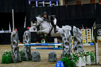 2025 - Haylee - Royal West - Saturday October 25th - 04112_1
