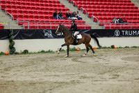 2025 - Shea - Royal West - Saturday October 25th - 01883