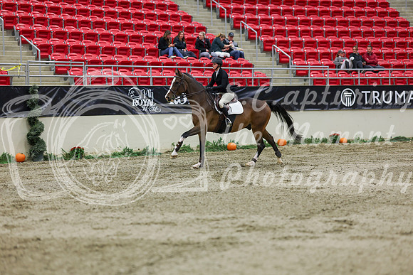 2025 - Shea - Royal West - Saturday October 25th - 01883
