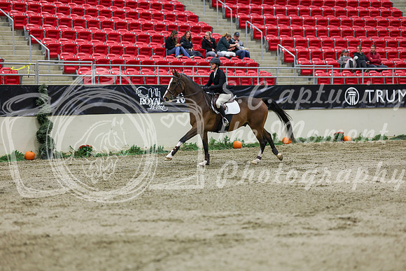2025 - Shea - Royal West - Saturday October 25th - 01884