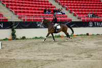 2025 - Shea - Royal West - Saturday October 25th - 01885