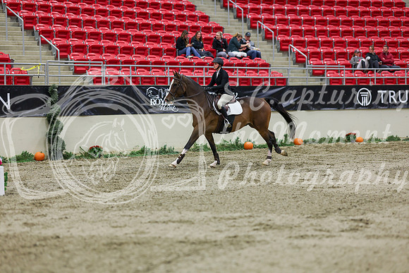 2025 - Shea - Royal West - Saturday October 25th - 01885