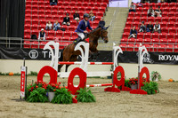 2025 - Shea - Royal West - Saturday October 25th - 07095