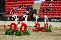 2025 - Shea - Royal West - Saturday October 25th - 07097