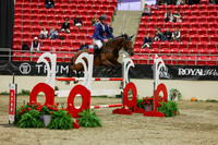 2025 - Shea - Royal West - Saturday October 25th - 07098