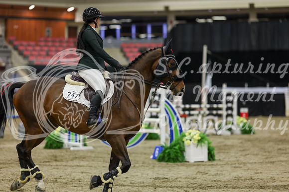 2025 - Shea - Royal West - Saturday October 25th - 06545