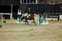 2025 - Shea - Royal West - Saturday October 25th - 06548