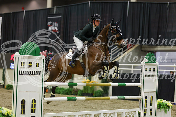 2025 - Shea - Royal West - Saturday October 25th - 06553