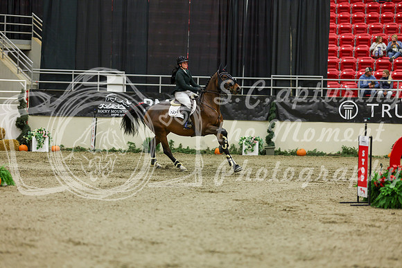 2025 - Shea - Royal West - Saturday October 25th - 06556