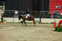 2025 - Shea - Royal West - Saturday October 25th - 06557