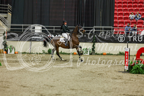 2025 - Shea - Royal West - Saturday October 25th - 06557