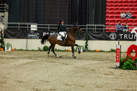 2025 - Shea - Royal West - Saturday October 25th - 06558