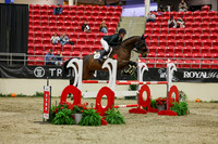 2025 - Shea - Royal West - Saturday October 25th - 06562