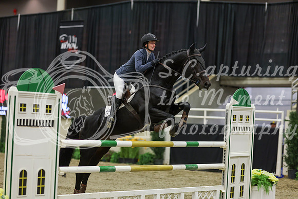 2025 - Shea - Royal West - Saturday October 25th - 06485
