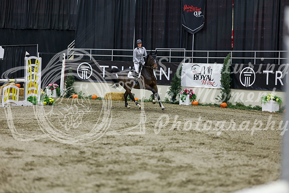2025 - Shea - Royal West - Saturday October 25th - 02482