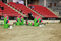 2025 - Shea - Royal West - Saturday October 25th - 06501