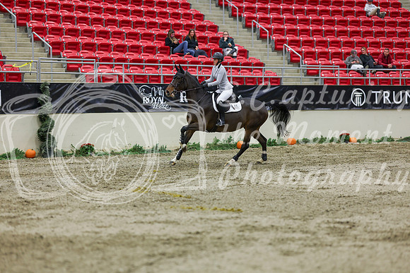 2025 - Shea - Royal West - Saturday October 25th - 02492