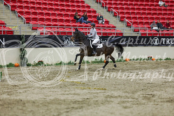 2025 - Shea - Royal West - Saturday October 25th - 02493