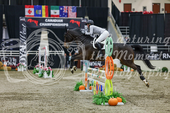 2025 - Shea - Royal West - Saturday October 25th - 02507