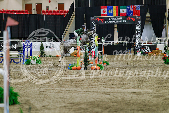 2025 - Haylee - Royal West - Saturday October 25th - 04711_1