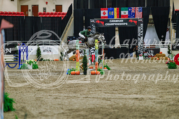 2025 - Haylee - Royal West - Saturday October 25th - 04714_1