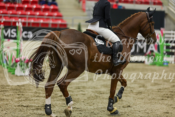 2025 - Shea - Royal West - Saturday October 25th - 07059