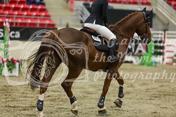 2025 - Shea - Royal West - Saturday October 25th - 07061