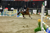 2025 - Shea - Royal West - Saturday October 25th - 07062