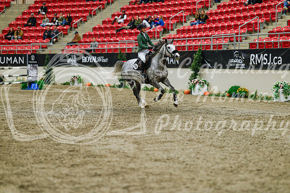 2025 - Haylee - Royal West - Saturday October 25th - 04718_1