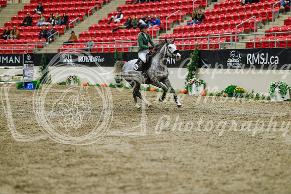 2025 - Haylee - Royal West - Saturday October 25th - 04719_1